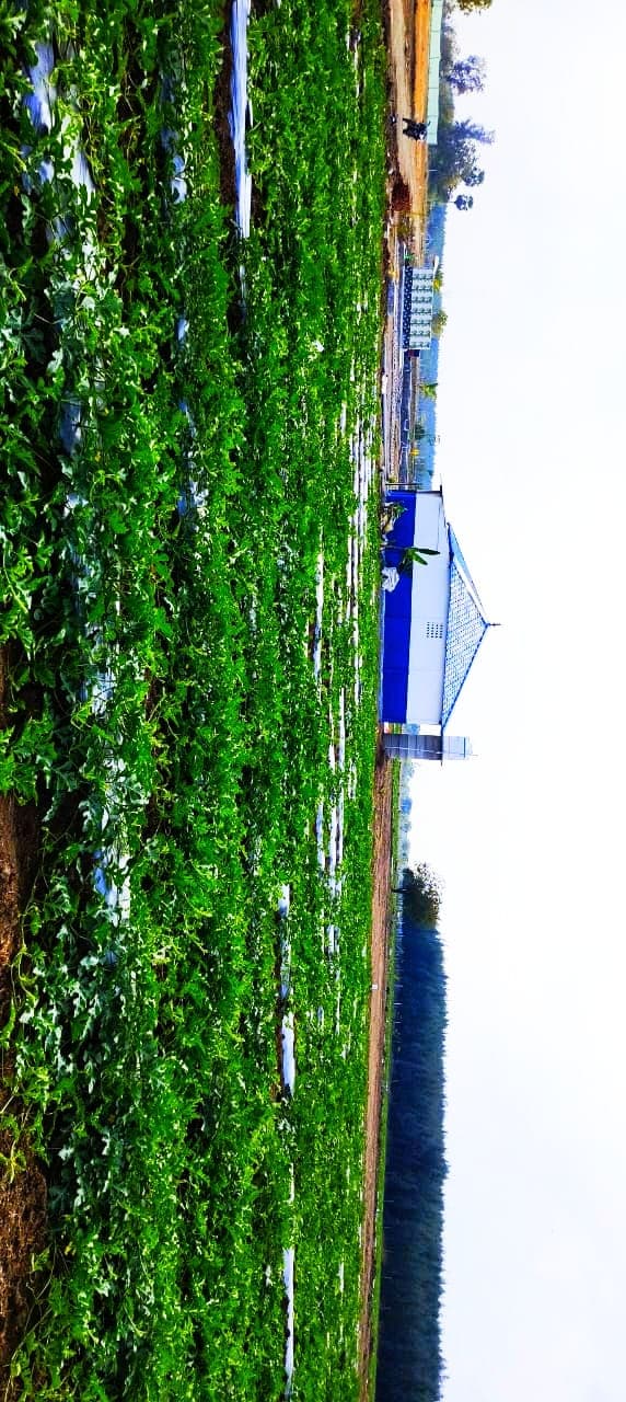 Plot for Sale in Acharapakkam , Chennai